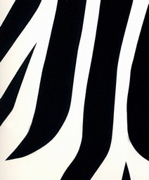 450mm x 2m Zebra Pattern Patifix Self Adhesive Film / Sticky Back Plastic
